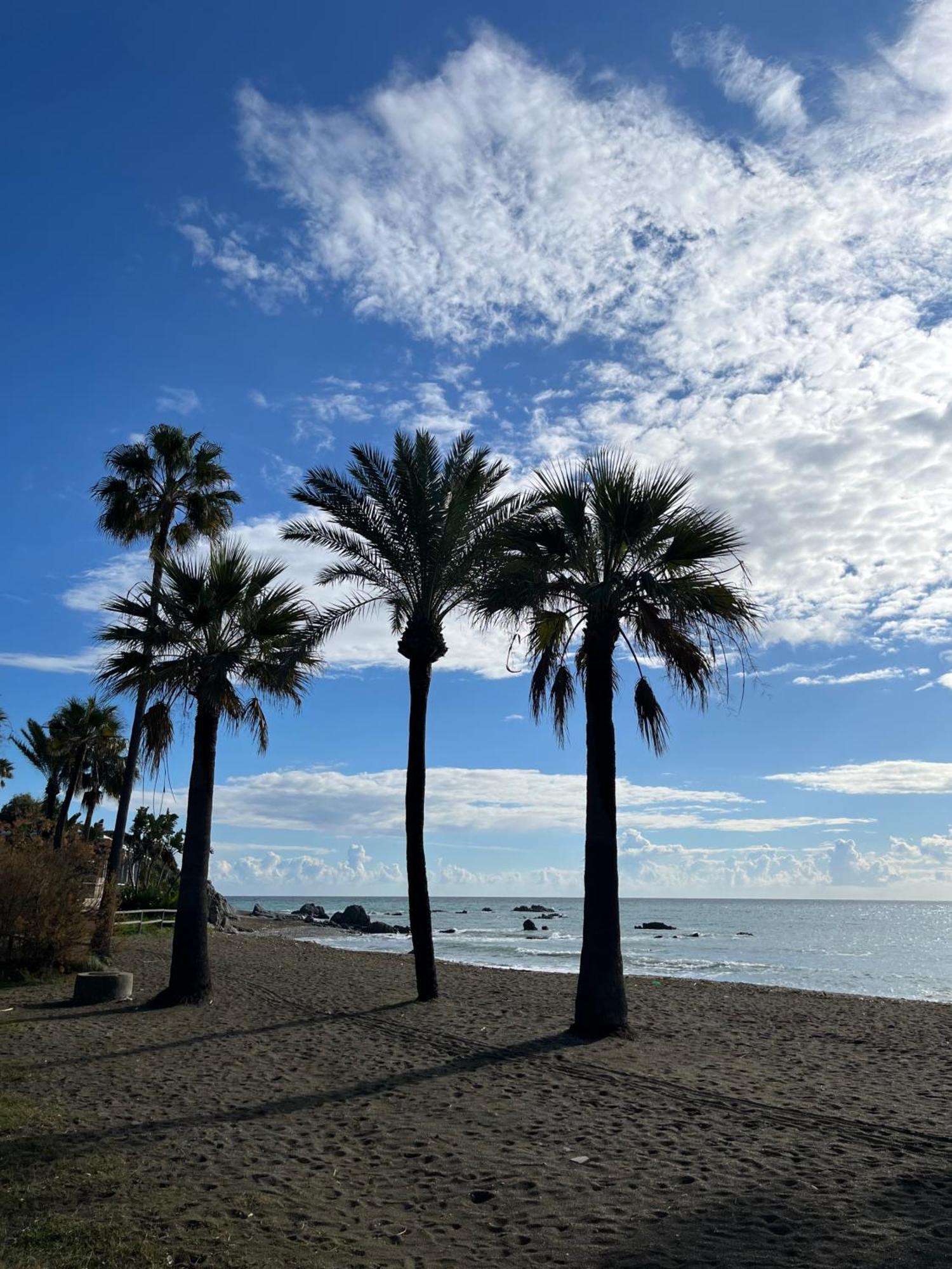 Premium Luxury-Casares Del Mar-Seaside Apartment Bahia de Casares 외부 사진